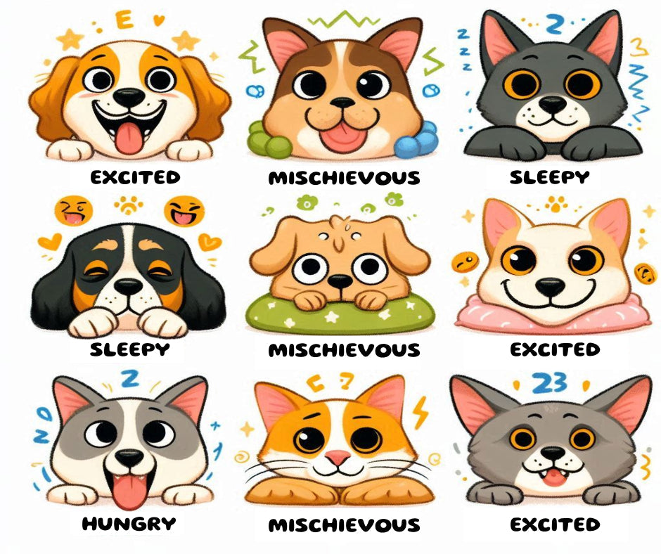 Decoding Your Pet’s Mood: What Their Expressions Really Mean!