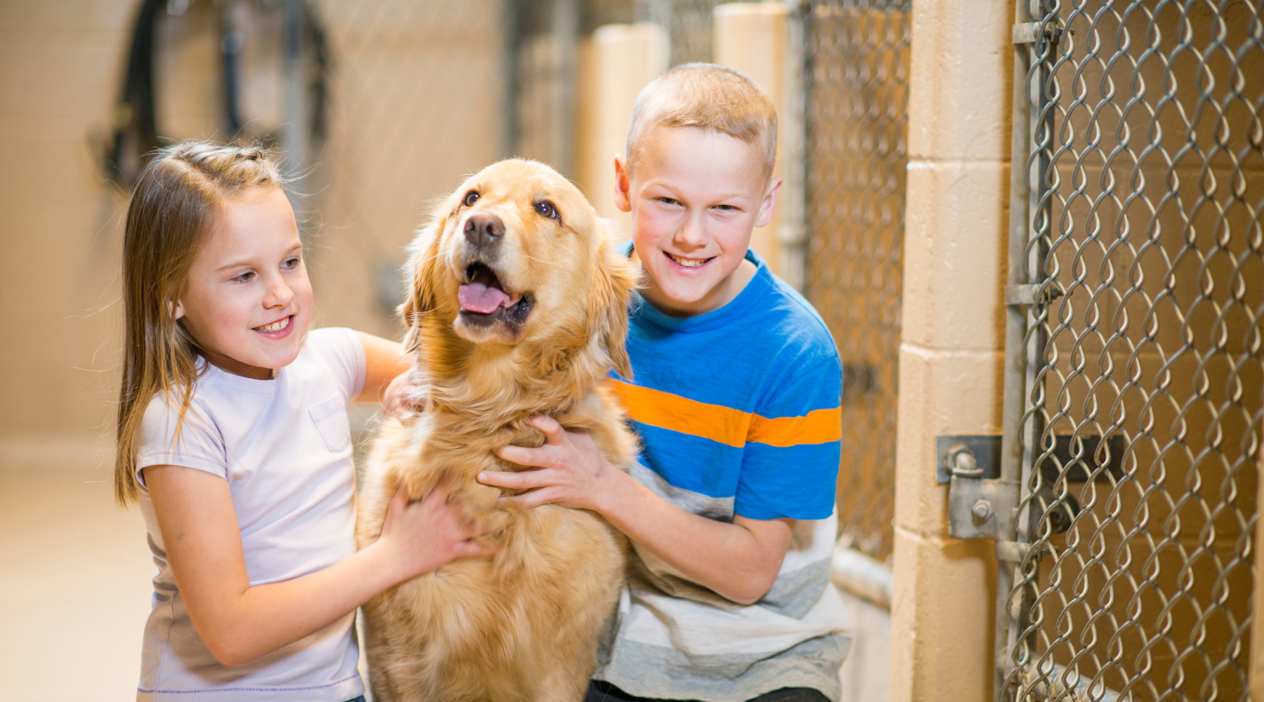 The Benefits of Adopting a Rescue Dog