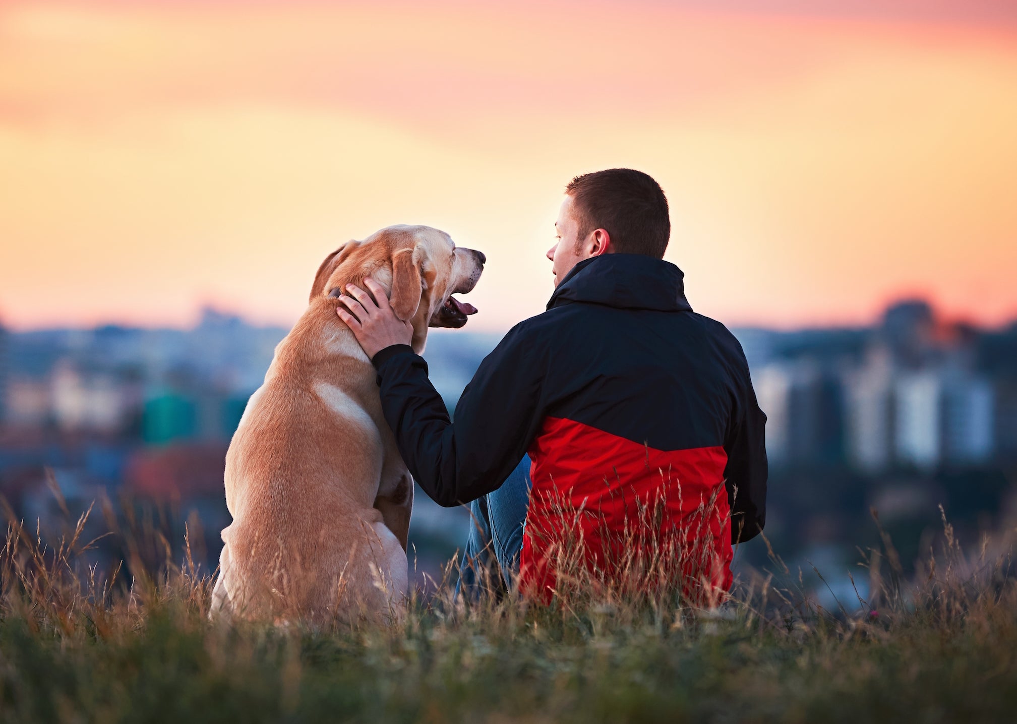 How to Choose the Right Dog for Your Lifestyle