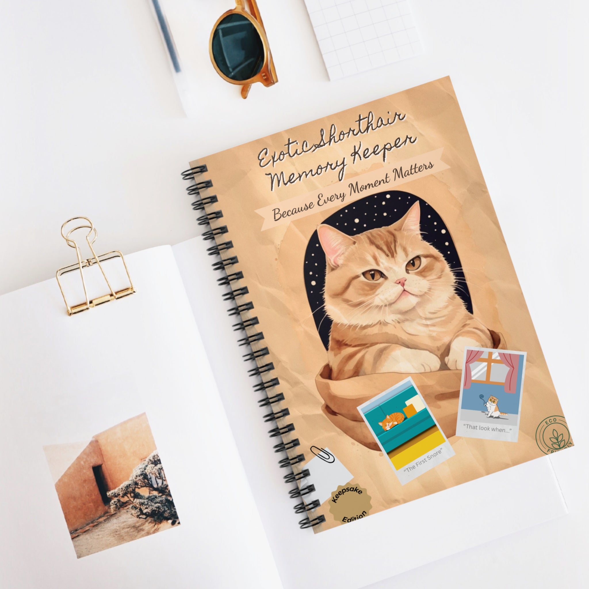 Exotic Shorthair Spiral Notebook - Ruled Lines, Memory Keeper, Gift for Cat Lovers, Journaling, Back to School, Cute Stationery