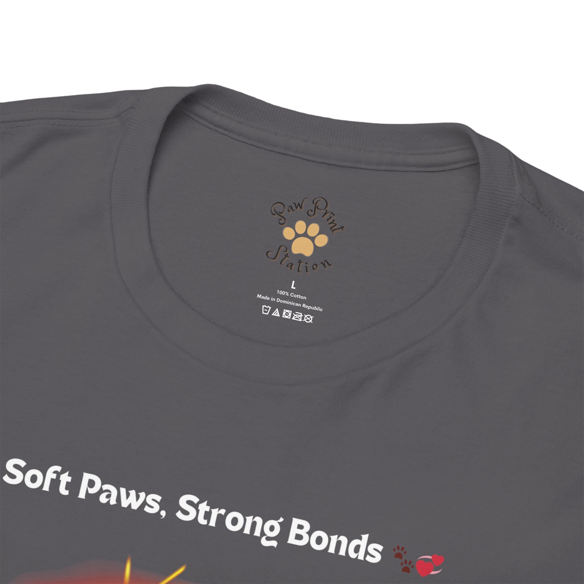 Men’s “Soft Paws, Strong Bonds” Maine Coon T‑Shirt – Gentle Giant Dad Gift