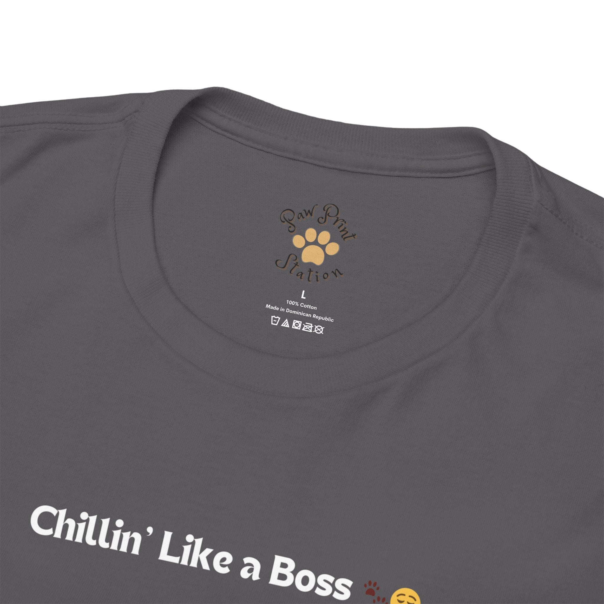Unisex “Chillin’ Like a Boss” Persian T‑Shirt – Pampered Cat Gift