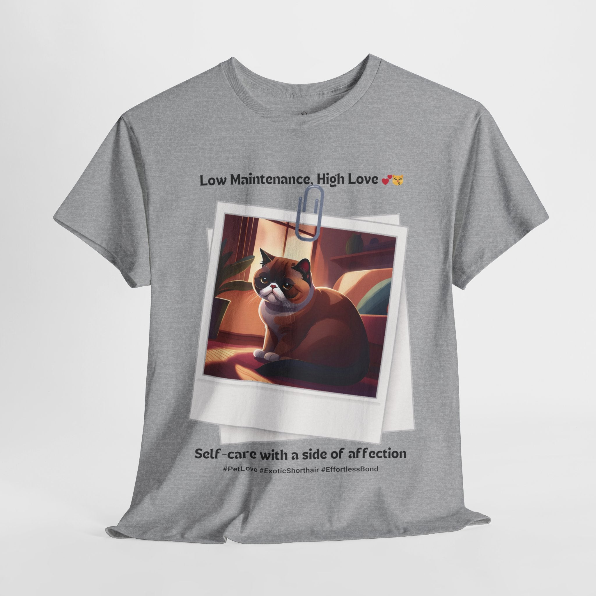 Unisex “Low Maintenance, High Love” Exotic Shorthair T‑Shirt – Easy Loving Cat Gift