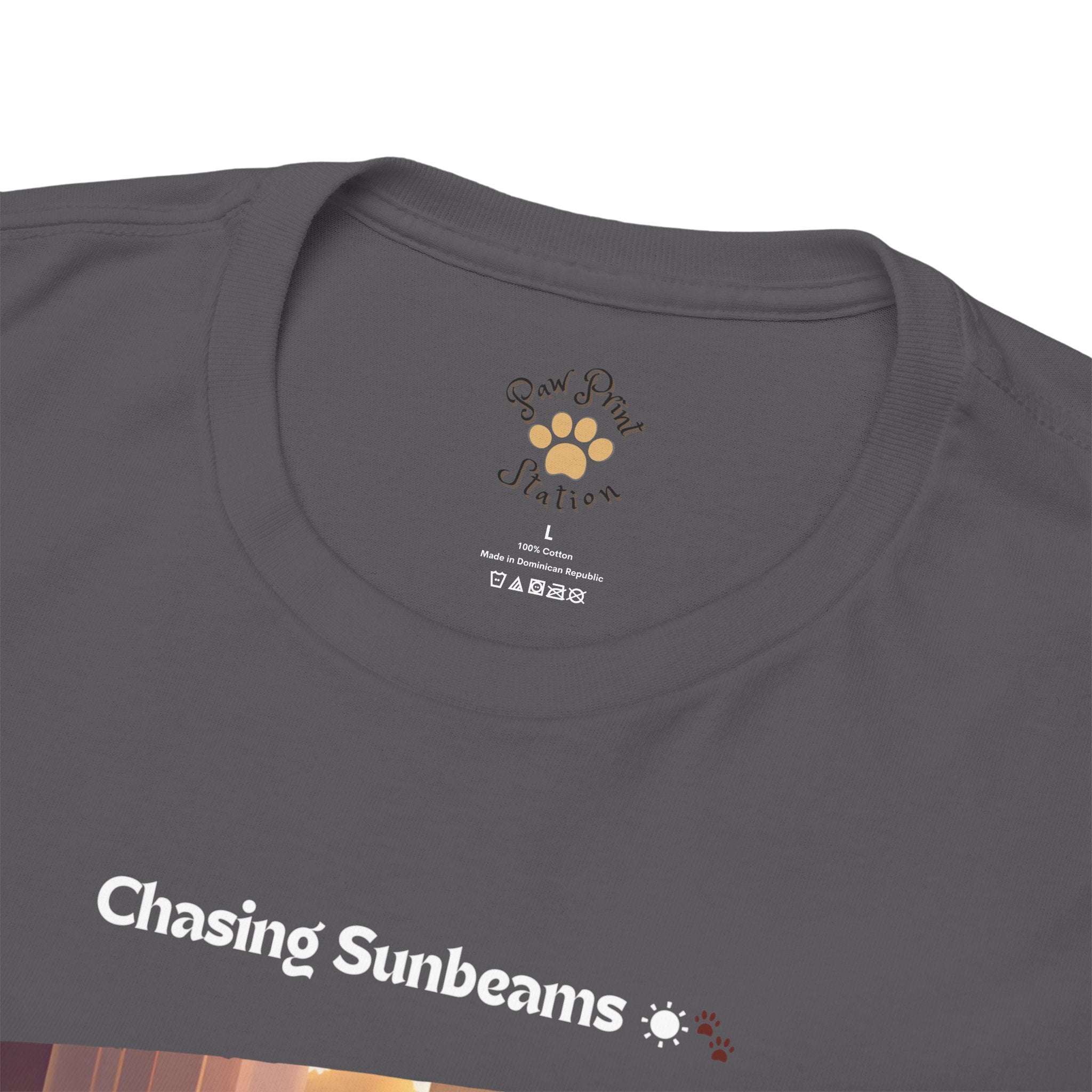 Unisex “Chasing Sunbeams” Dachshund T‑Shirt – Relaxed Pup Gift