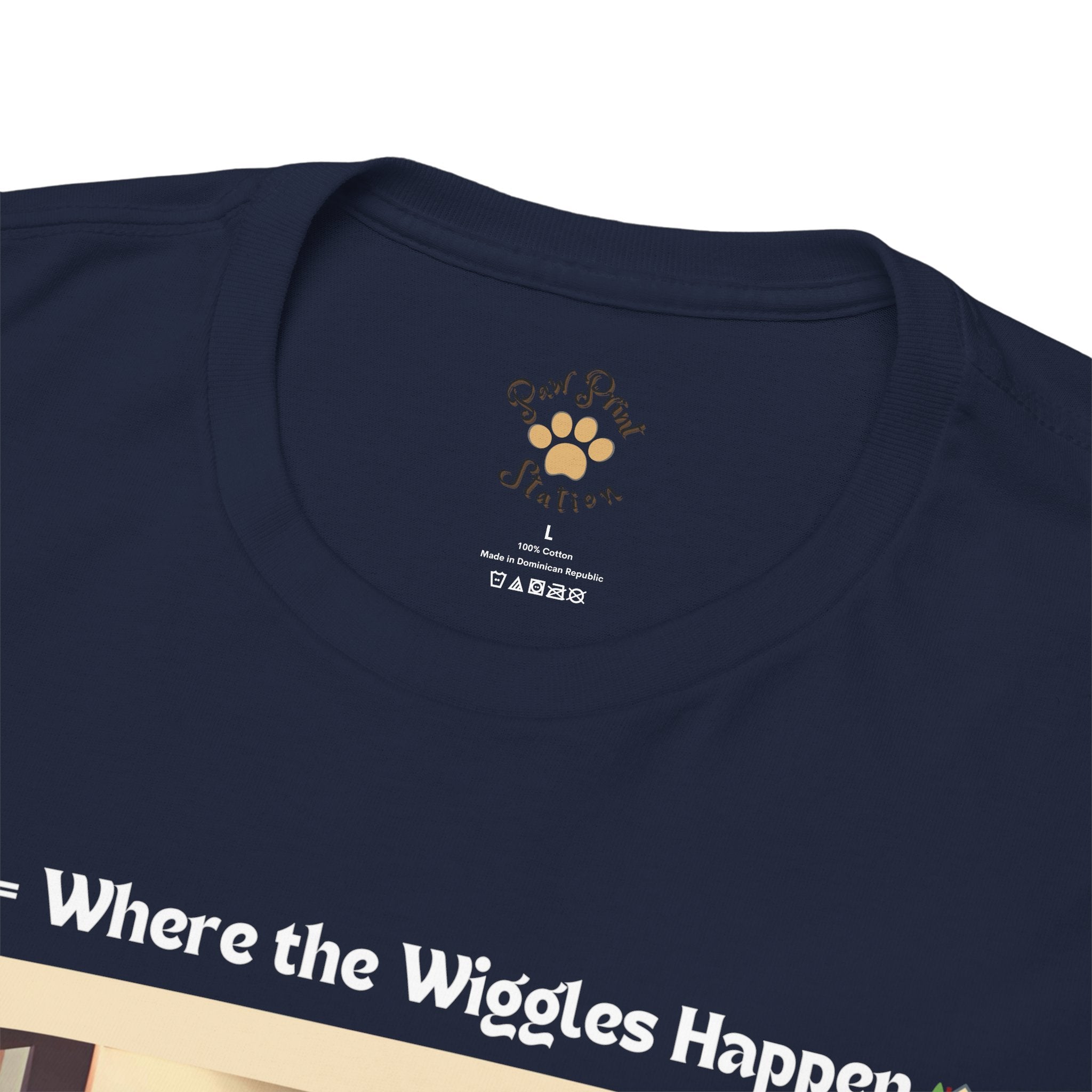 Women’s “Boundless Joy” Boston Terrier Reunion T‑Shirt – Joyful Reunion Mom Gift