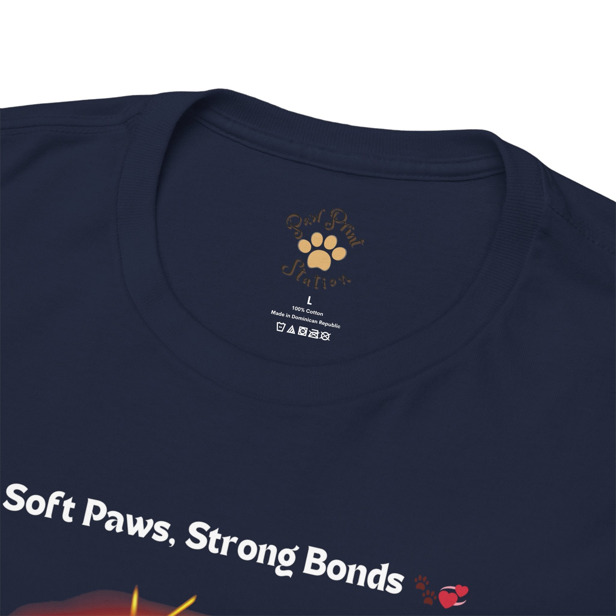 Men’s “Soft Paws, Strong Bonds” Maine Coon T‑Shirt – Gentle Giant Dad Gift