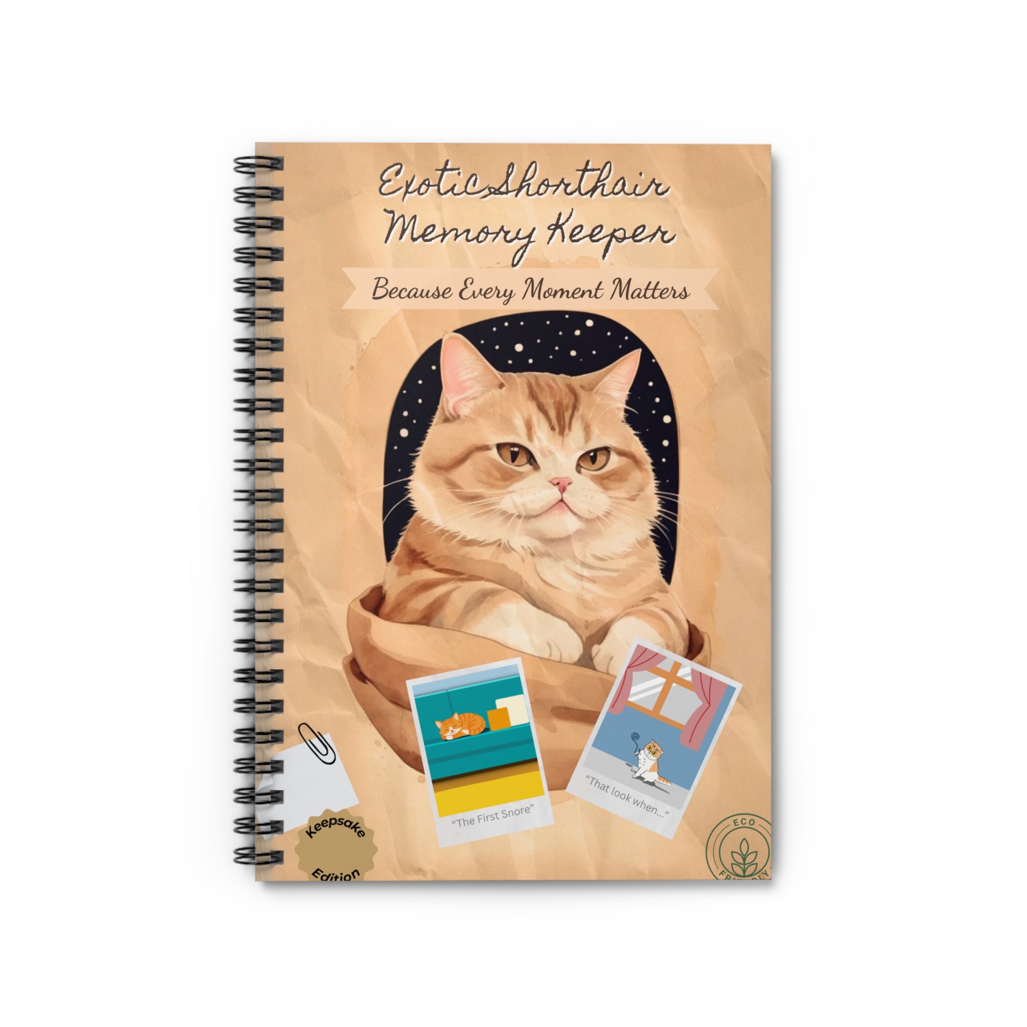 Exotic Shorthair Spiral Notebook - Ruled Lines, Memory Keeper, Gift for Cat Lovers, Journaling, Back to School, Cute Stationery