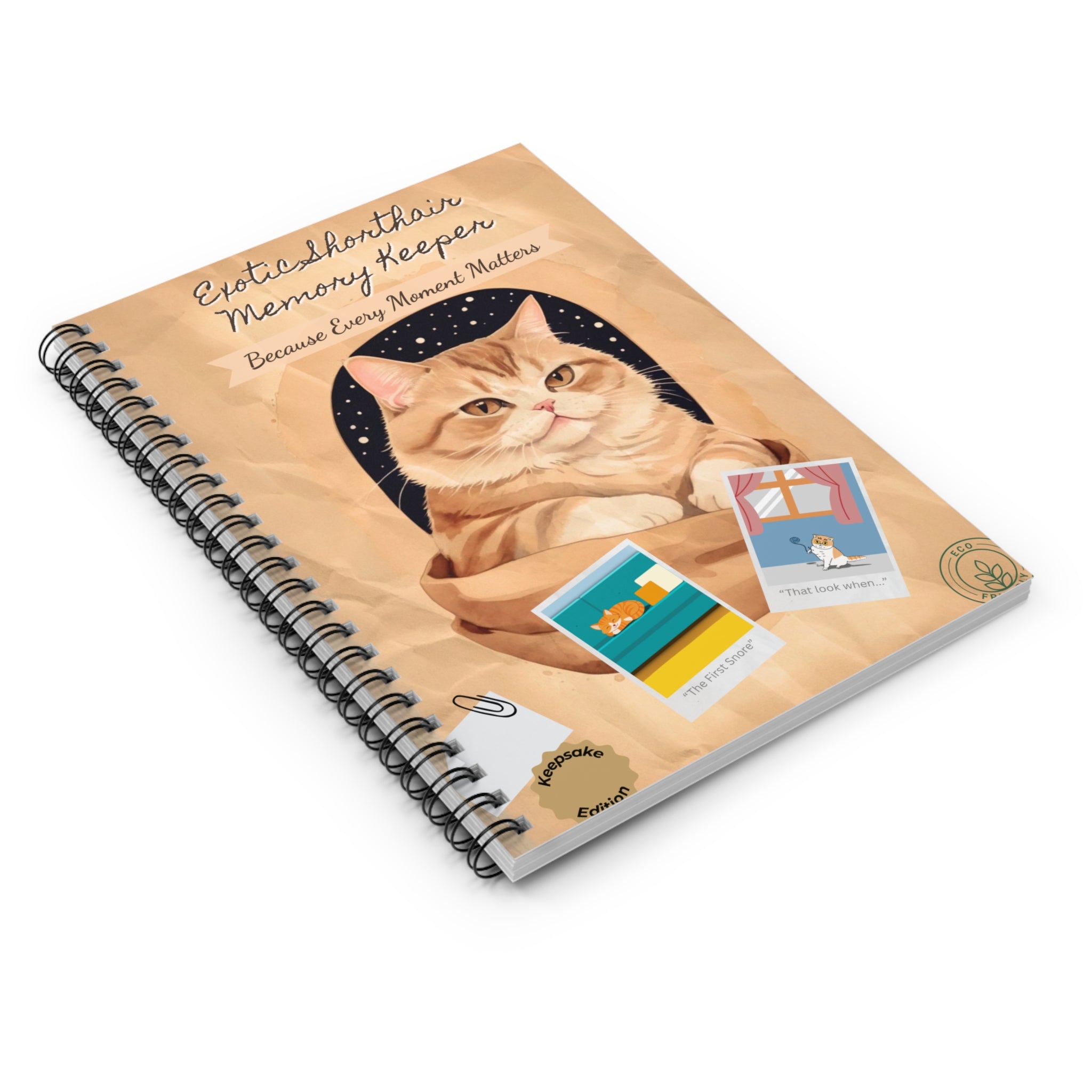 Exotic Shorthair Spiral Notebook - Ruled Lines, Memory Keeper, Gift for Cat Lovers, Journaling, Back to School, Cute Stationery