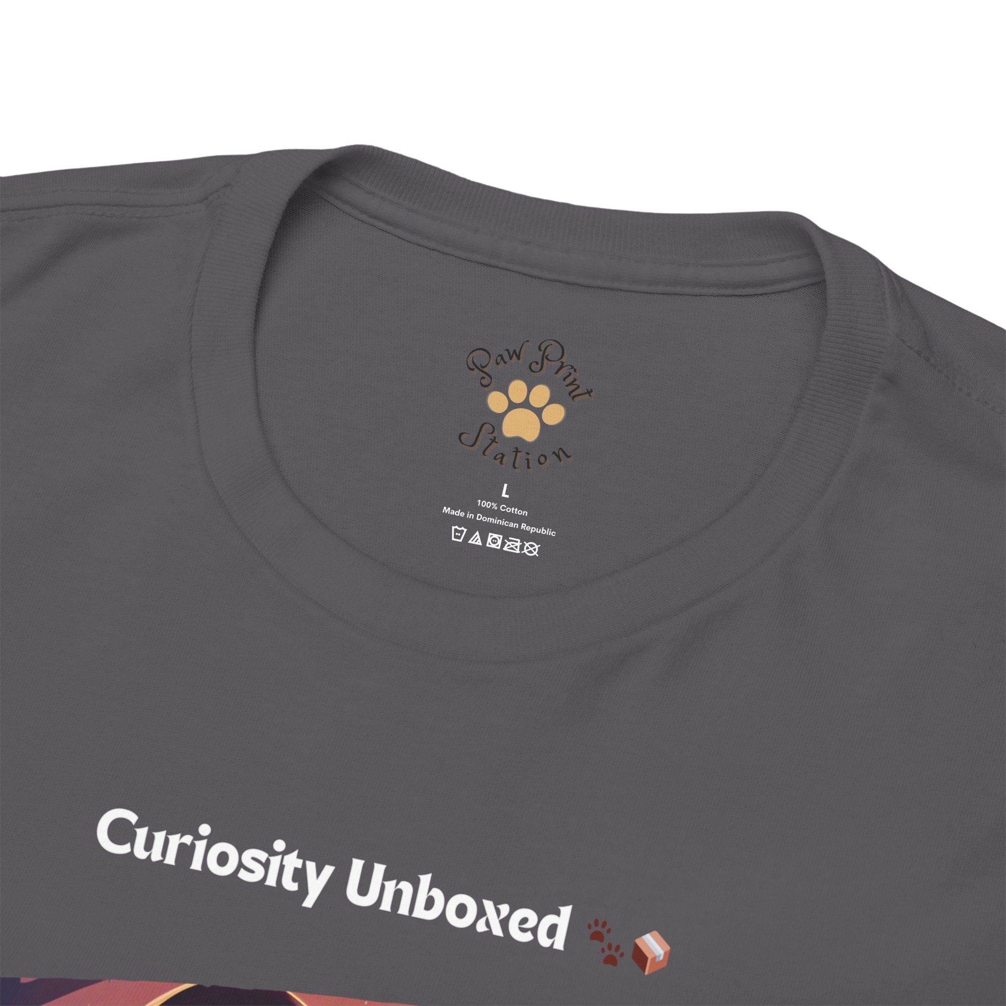 Men’s “Curiosity Unboxed” Maine Coon T‑Shirt – Adventurous Cat Dad Gift