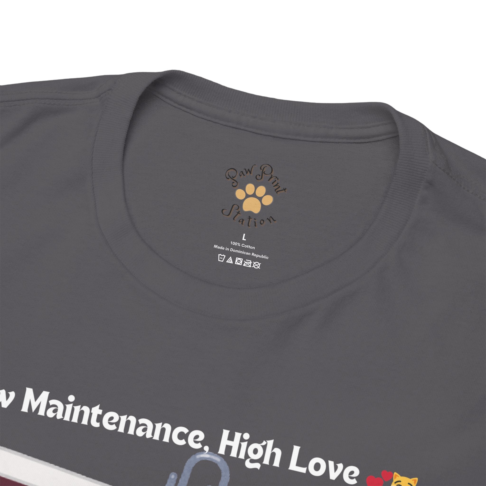 Unisex “Low Maintenance, High Love” Exotic Shorthair T‑Shirt – Easy Loving Cat Gift