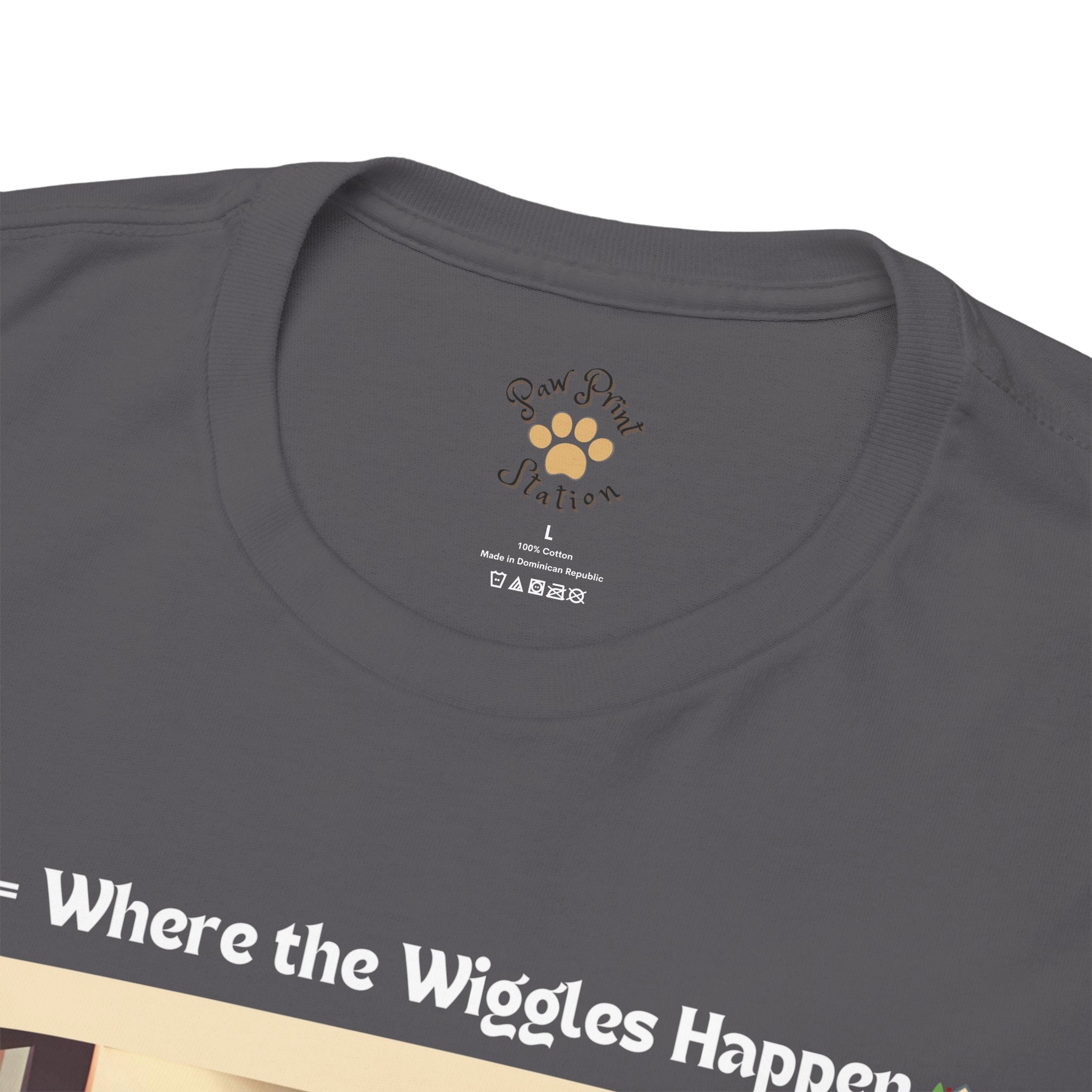 Women’s “Boundless Joy” Boston Terrier Reunion T‑Shirt – Joyful Reunion Mom Gift