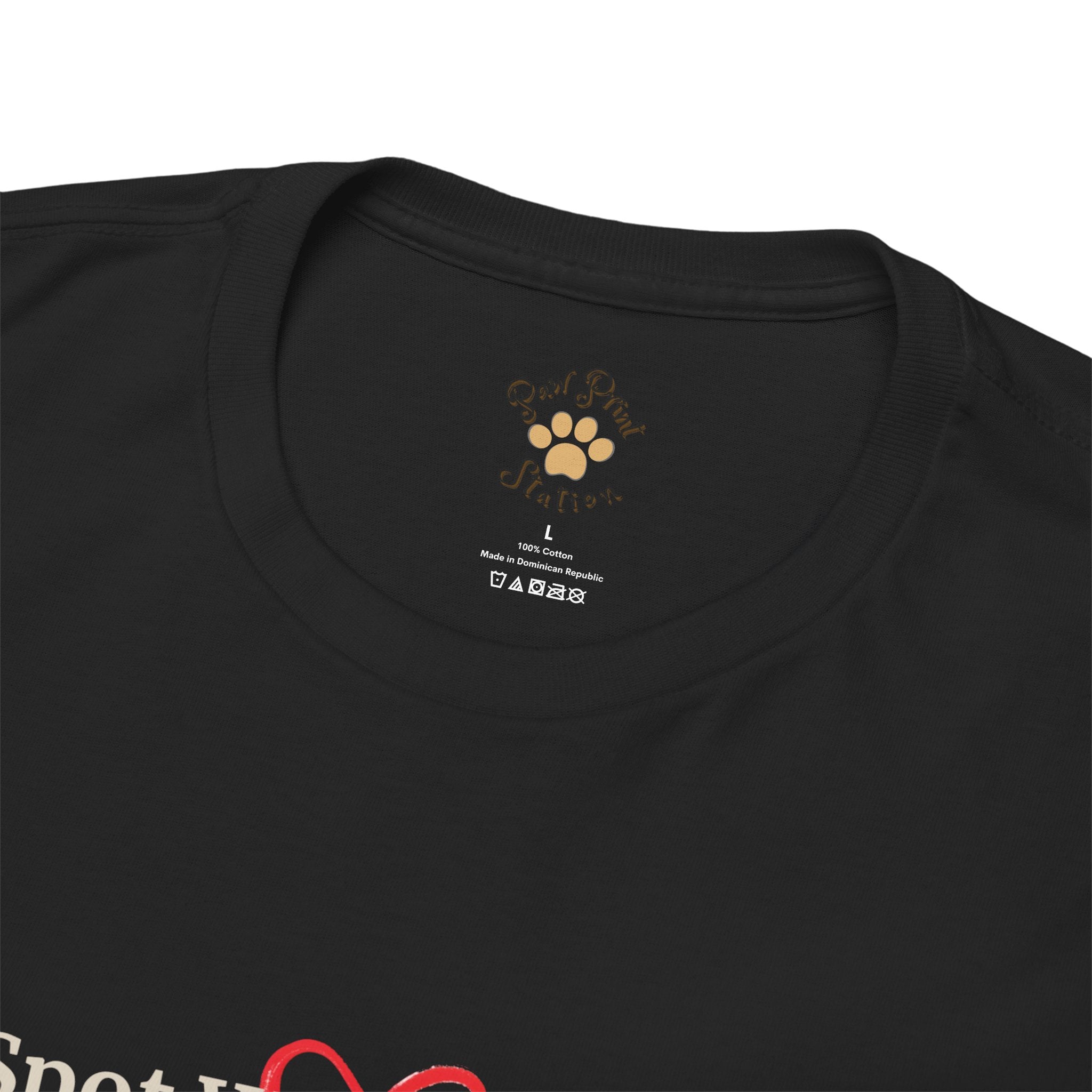 Unisex “Your Spot Was Always Warm” British Shorthair Cat T-Shirt – Cozy Pet Lover Tee