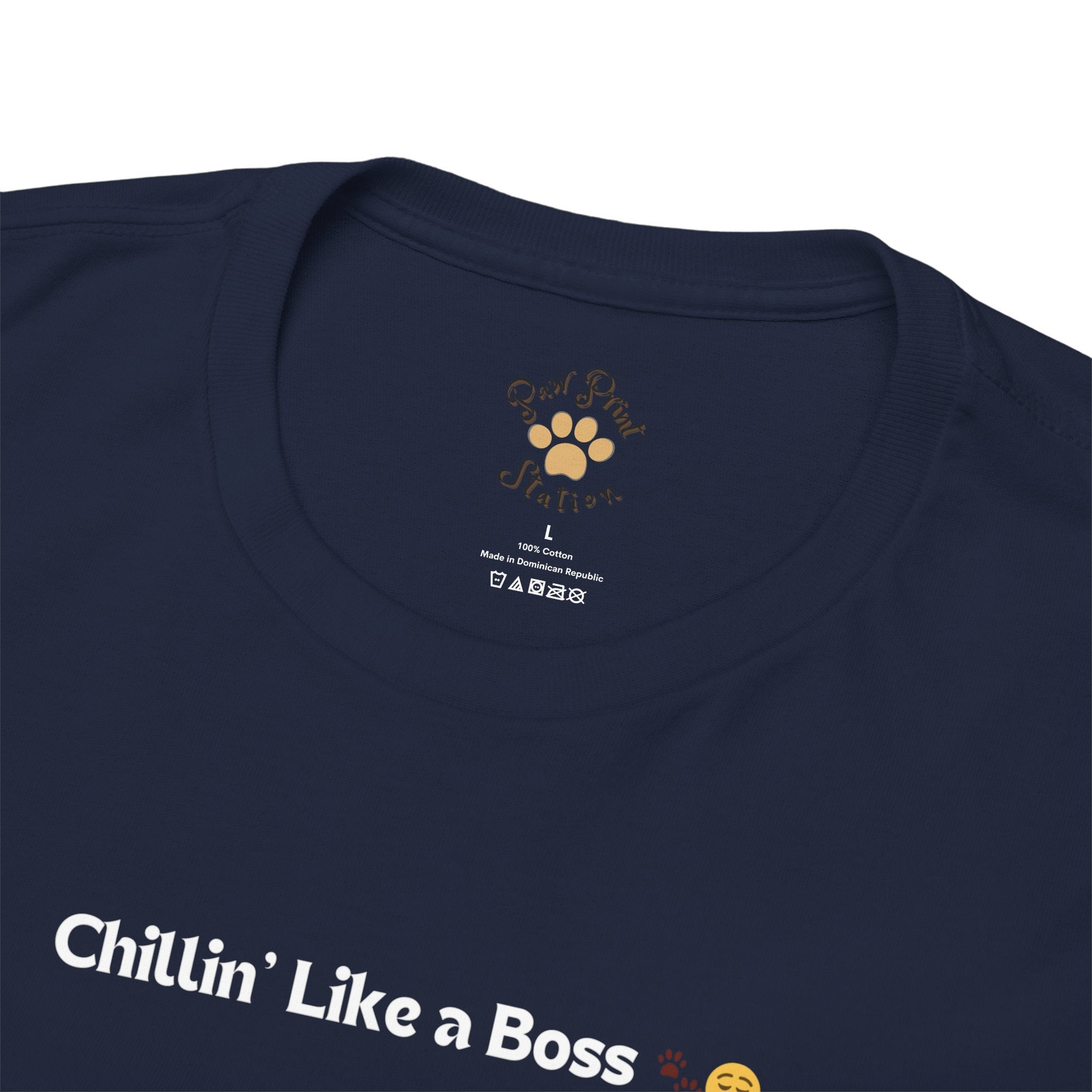 Unisex “Chillin’ Like a Boss” Persian T‑Shirt – Pampered Cat Gift