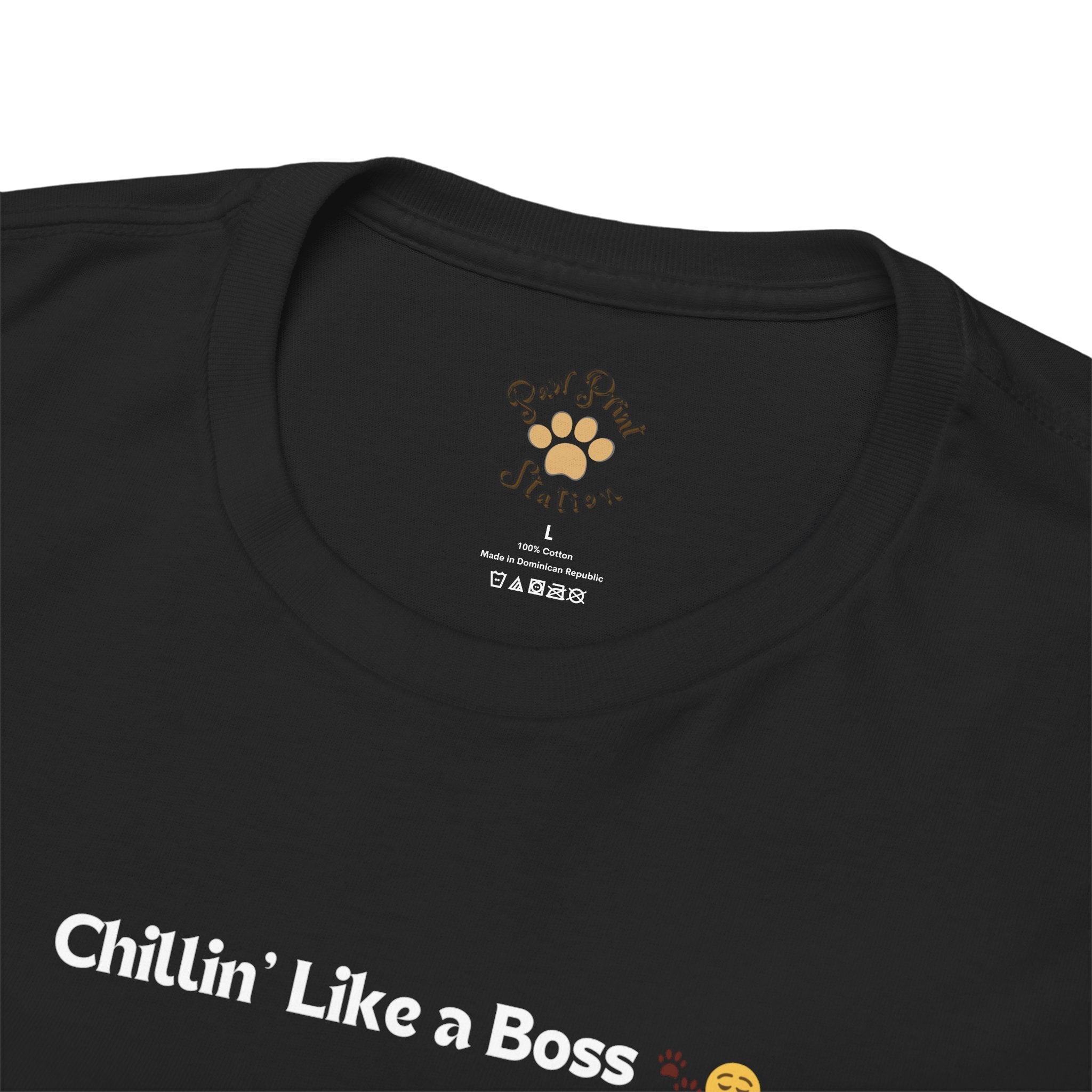 Unisex “Chillin’ Like a Boss” Persian T‑Shirt – Pampered Cat Gift