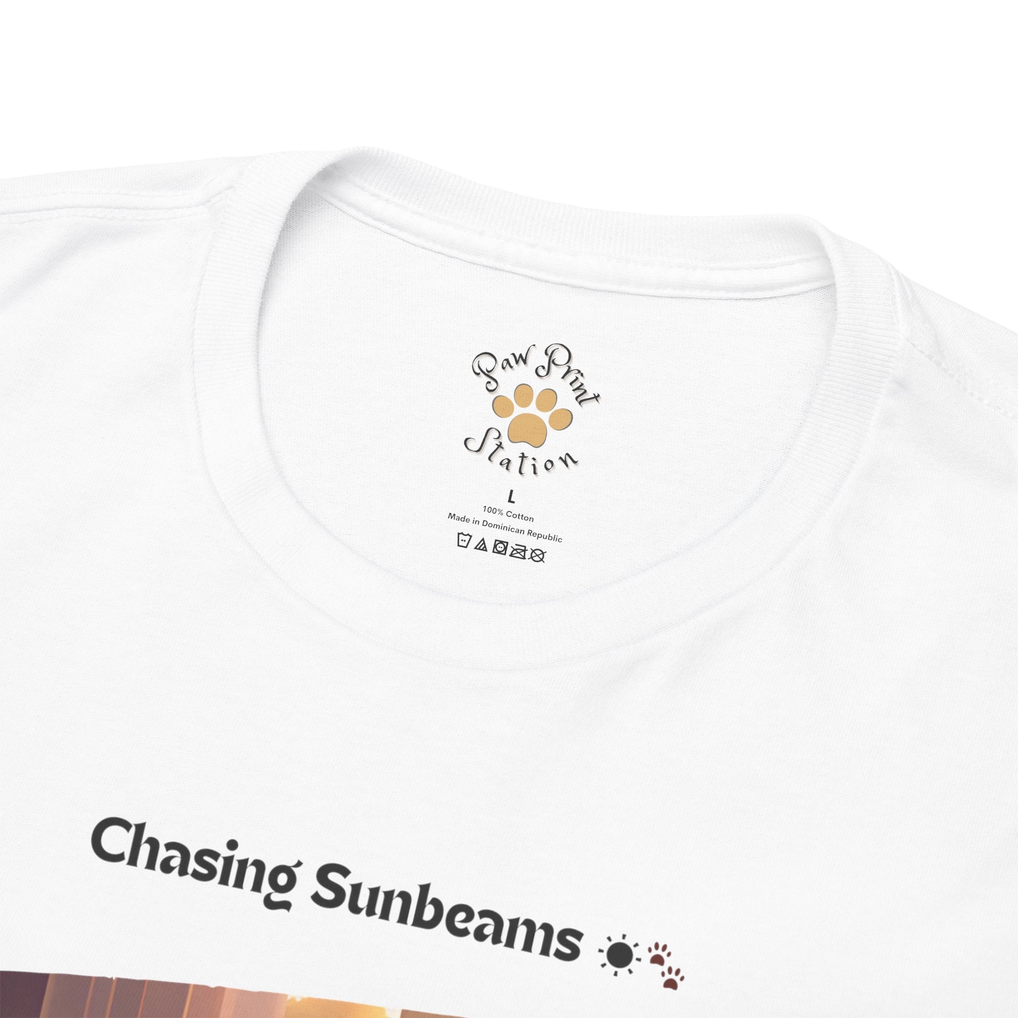 Unisex “Chasing Sunbeams” Dachshund T‑Shirt – Relaxed Pup Gift