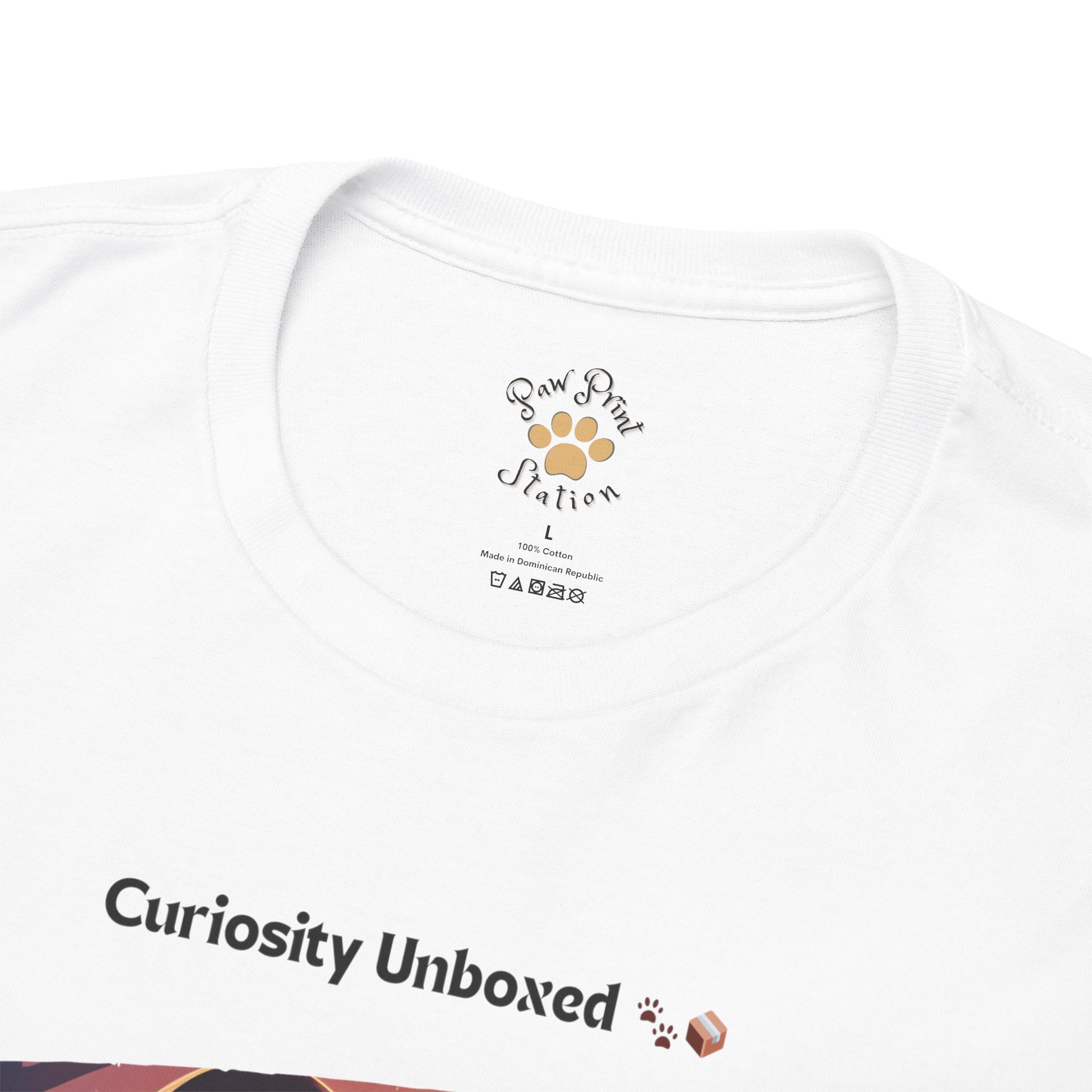 Men’s “Curiosity Unboxed” Maine Coon T‑Shirt – Adventurous Cat Dad Gift