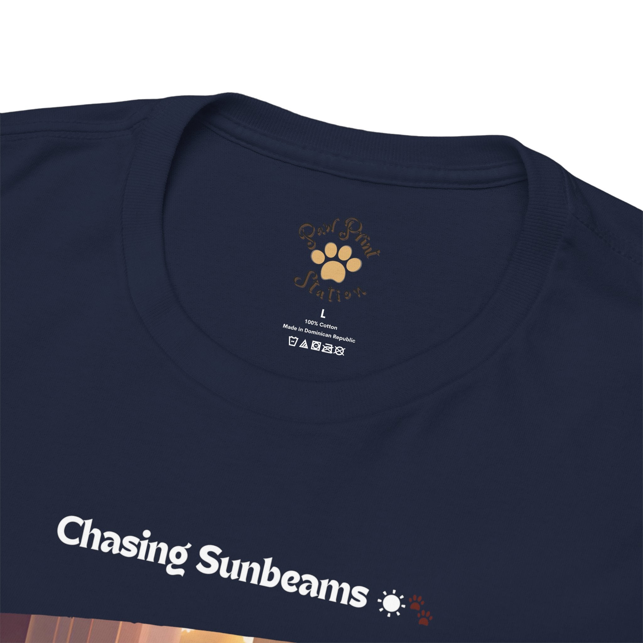 Unisex “Chasing Sunbeams” Dachshund T‑Shirt – Relaxed Pup Gift