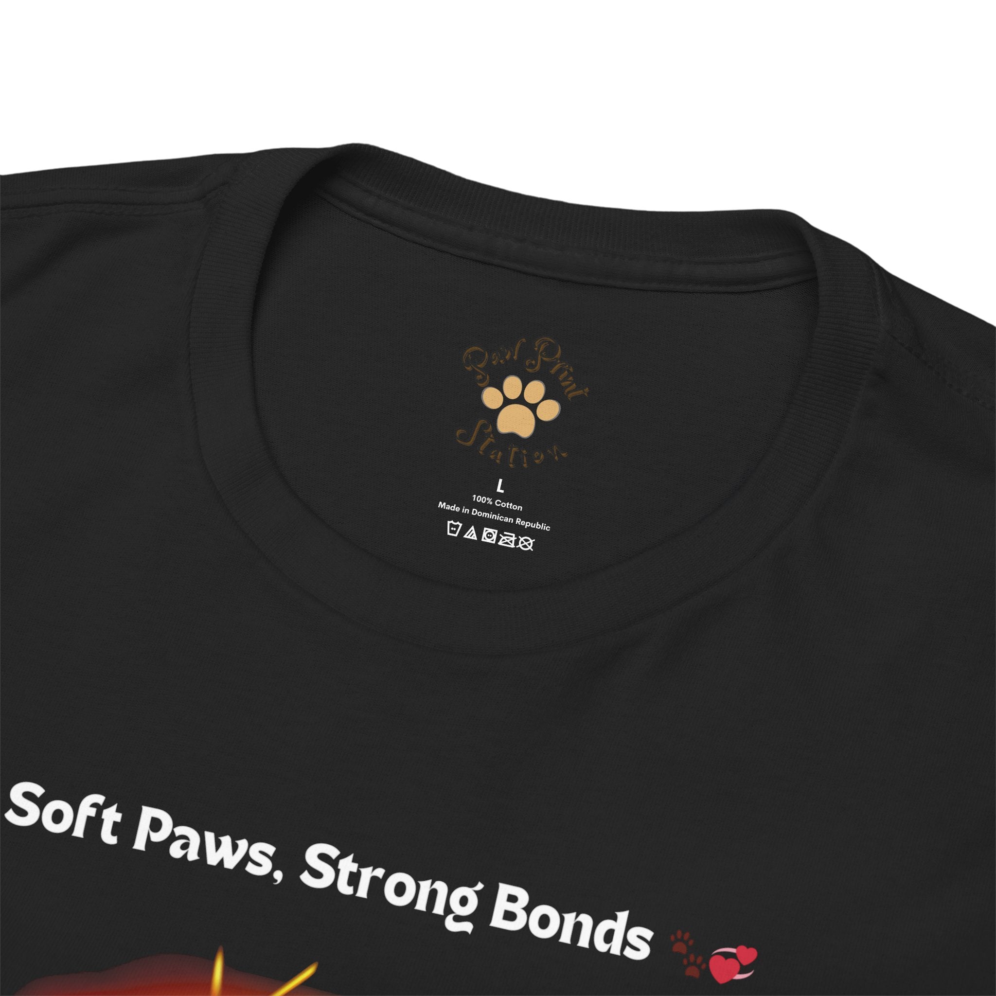 Men’s “Soft Paws, Strong Bonds” Maine Coon T‑Shirt – Gentle Giant Dad Gift