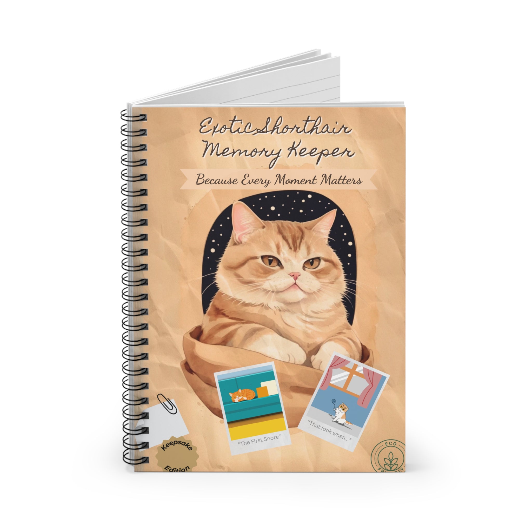 Exotic Shorthair Spiral Notebook - Ruled Lines, Memory Keeper, Gift for Cat Lovers, Journaling, Back to School, Cute Stationery