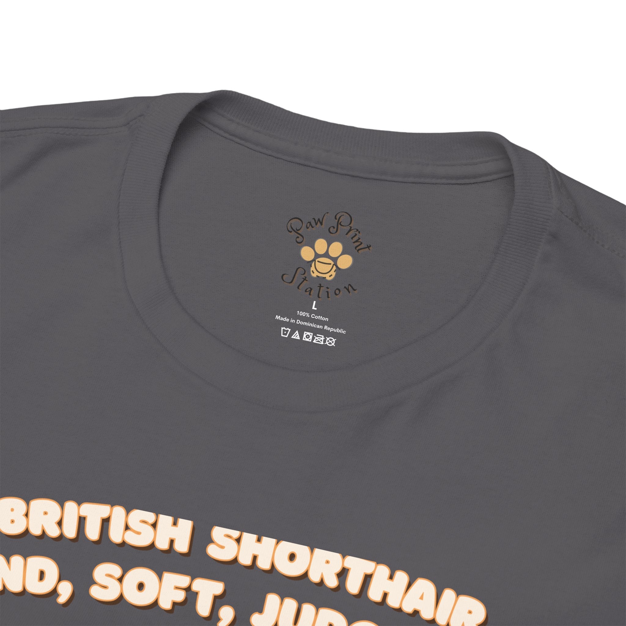 Unisex T-Shirt – Round, Soft, Judgmental: British Shorthair Everyday Moments Edition