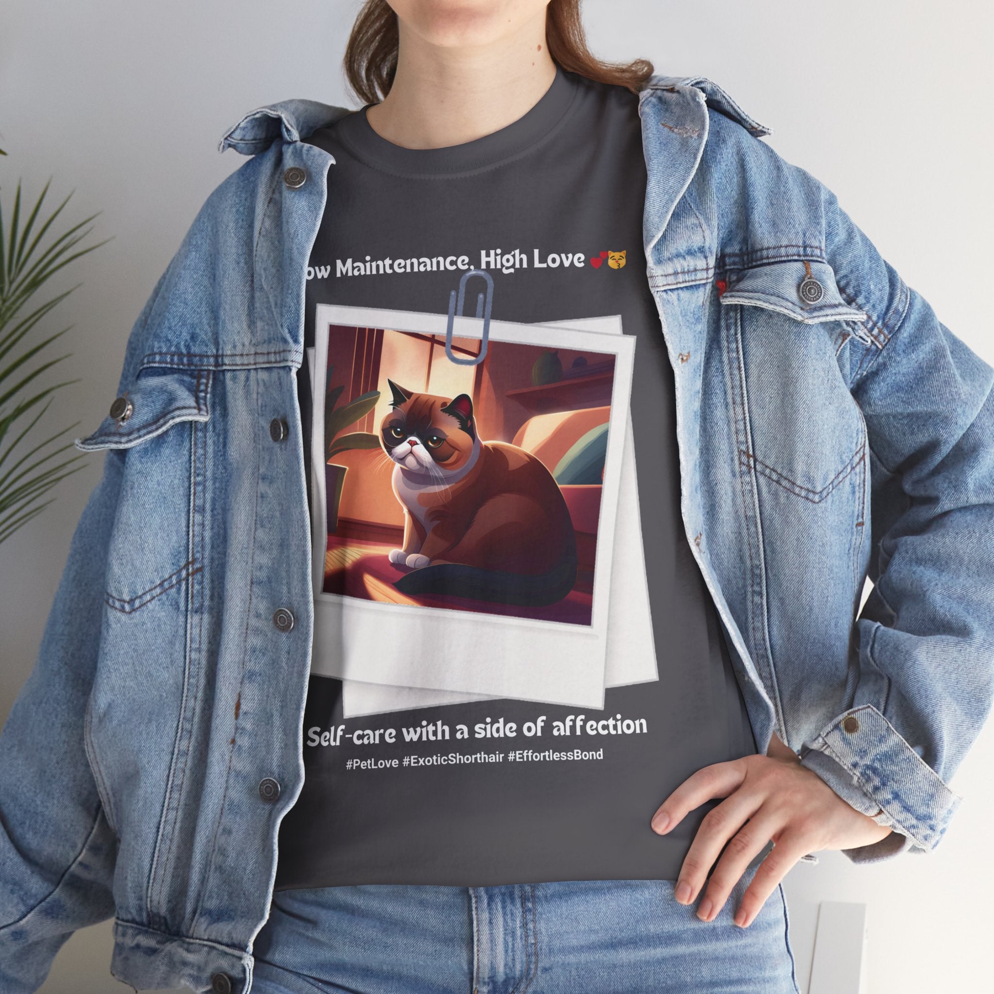 Unisex “Low Maintenance, High Love” Exotic Shorthair T‑Shirt – Easy Loving Cat Gift