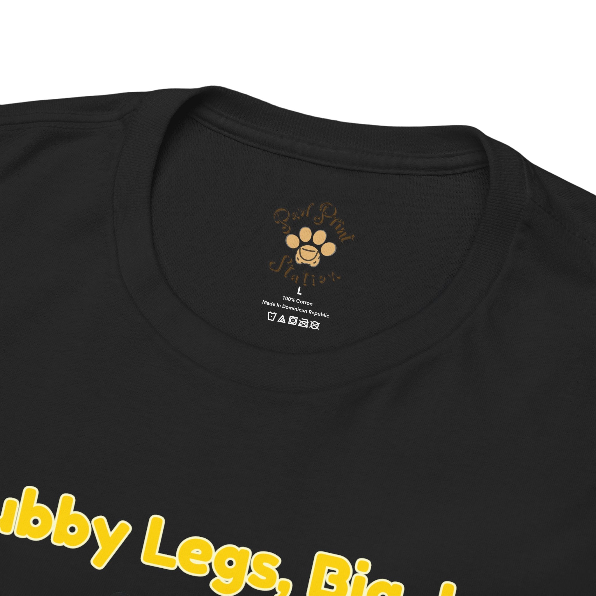 Unisex T-Shirt – Stubby Legs, Big Joy: Corgi Autumn Shirt