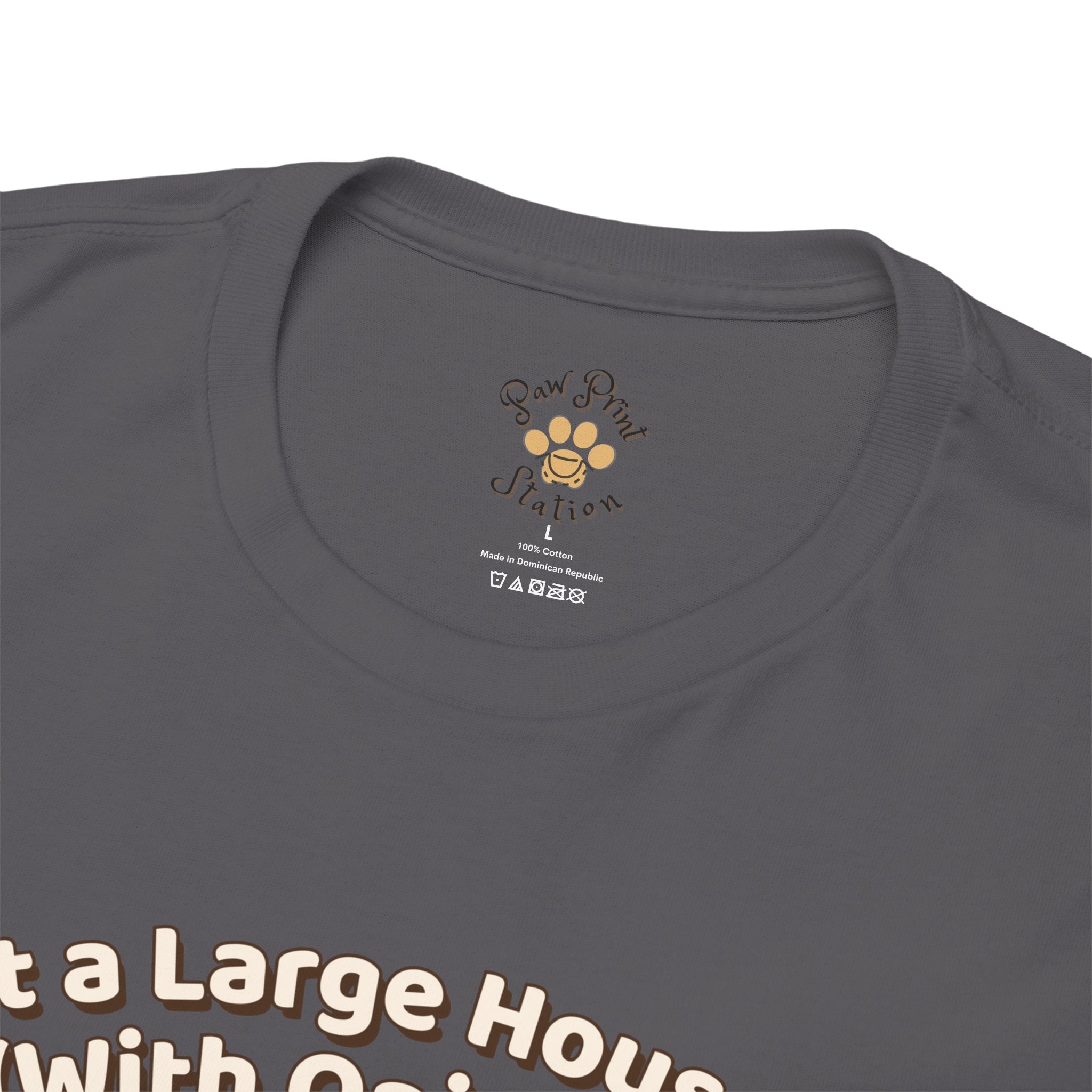 Unisex T-Shirt – Just a Large House Cat (With Opinions): Maine Coon Everyday Moments Edition