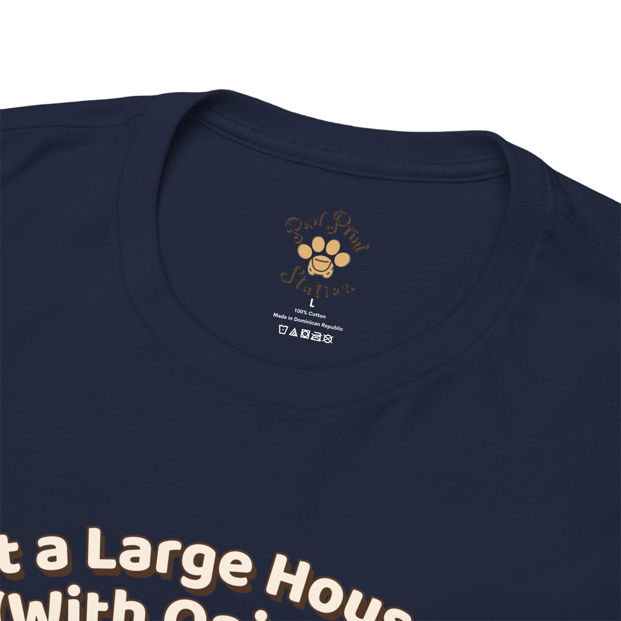 Unisex T-Shirt – Just a Large House Cat (With Opinions): Maine Coon Everyday Moments Edition