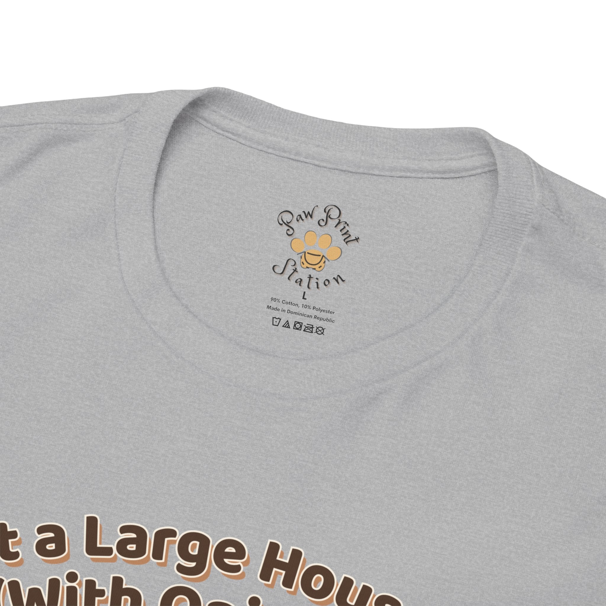 Unisex T-Shirt – Just a Large House Cat (With Opinions): Maine Coon Everyday Moments Edition