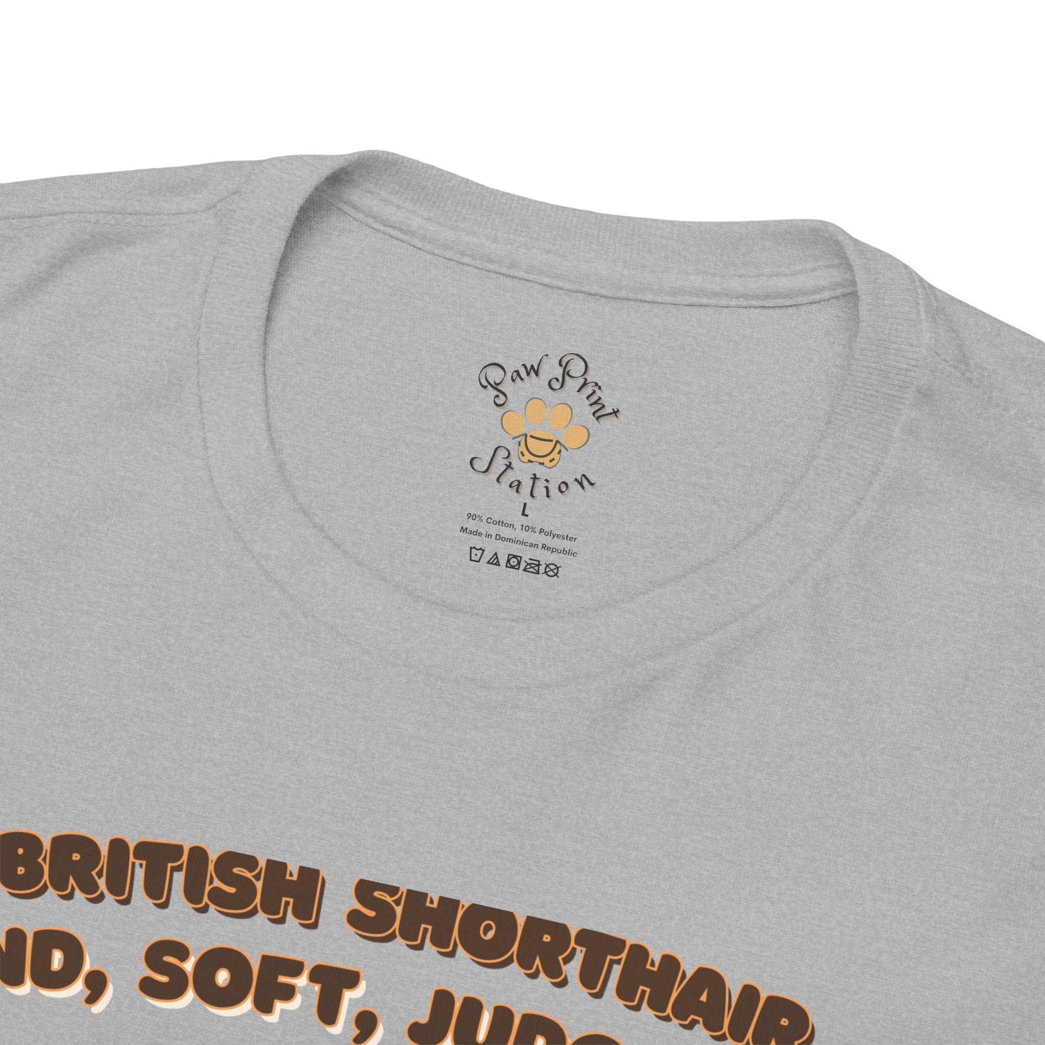 Unisex T-Shirt – Round, Soft, Judgmental: British Shorthair Everyday Moments Edition