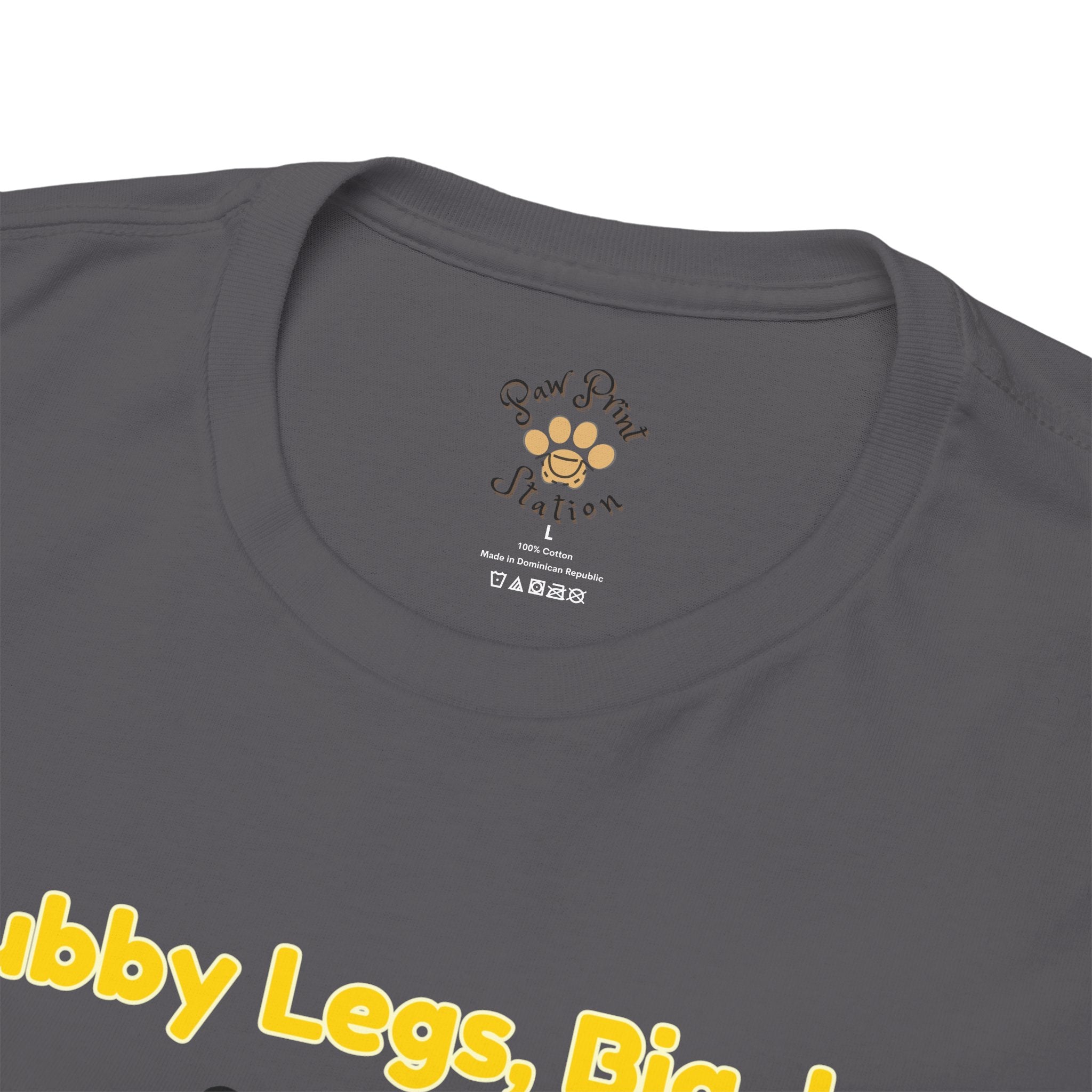 Unisex T-Shirt – Stubby Legs, Big Joy: Corgi Autumn Shirt