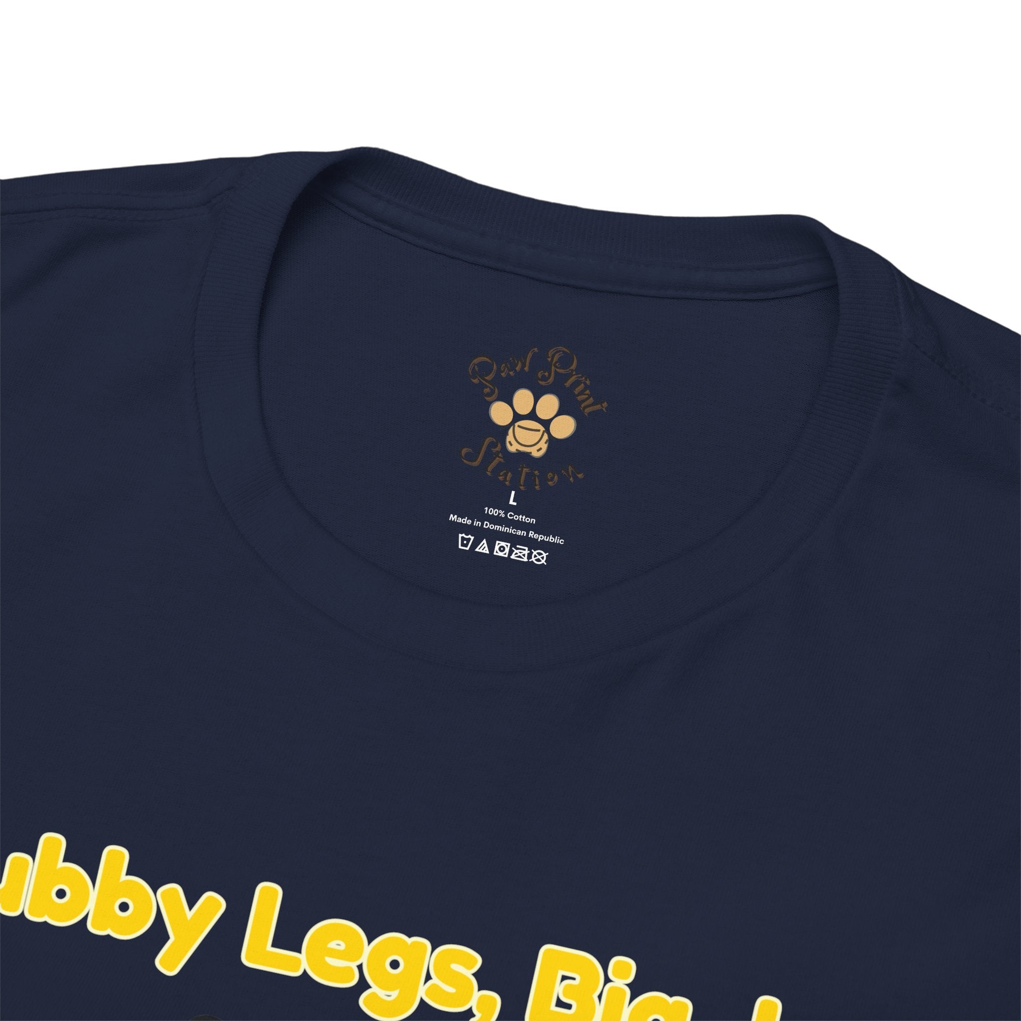 Unisex T-Shirt – Stubby Legs, Big Joy: Corgi Autumn Shirt
